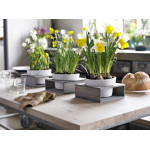 Ideas of floral decorations for the home or office - Flower Shop Blog