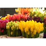 Beautiful bouquet in Dnepropetrovsk delivered to your home or office! - Flower Shop Blog
