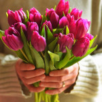 Buy flowers in the river at a low price. - Flower Shop Blog