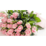 Instant flower delivery Dnepr - Flower Shop Blog