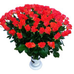 How to delight your favorite colors? - Flower Shop Blog