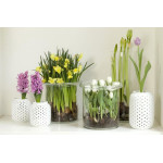 Flowers for a charming interior - Flower Shop Blog